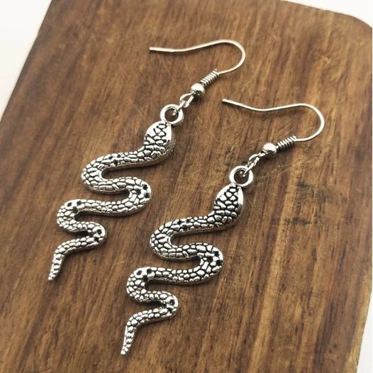 Boucles d'oreilles serpent Cobra, bijou en acier inoxydable